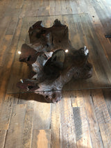 Cocobolo Root Coffee Table #49