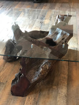 Cocobolo Root Coffee Table #49