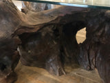Cocobolo Root Coffee Table #49
