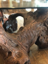 Cocobolo Root Coffee Table #49